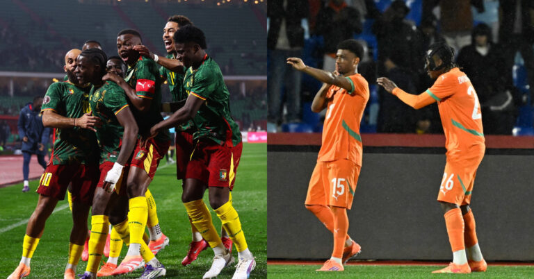 AFCON: The indomitable Lions of Cameroon downs the Panthers of Gabon